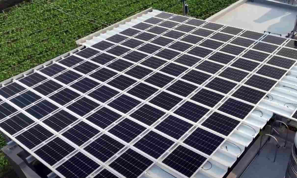 WepaySunSteel光电浪板升级双玻结构，，以提升机械负载强度及气候耐候度，，，可广泛运用于多元场域