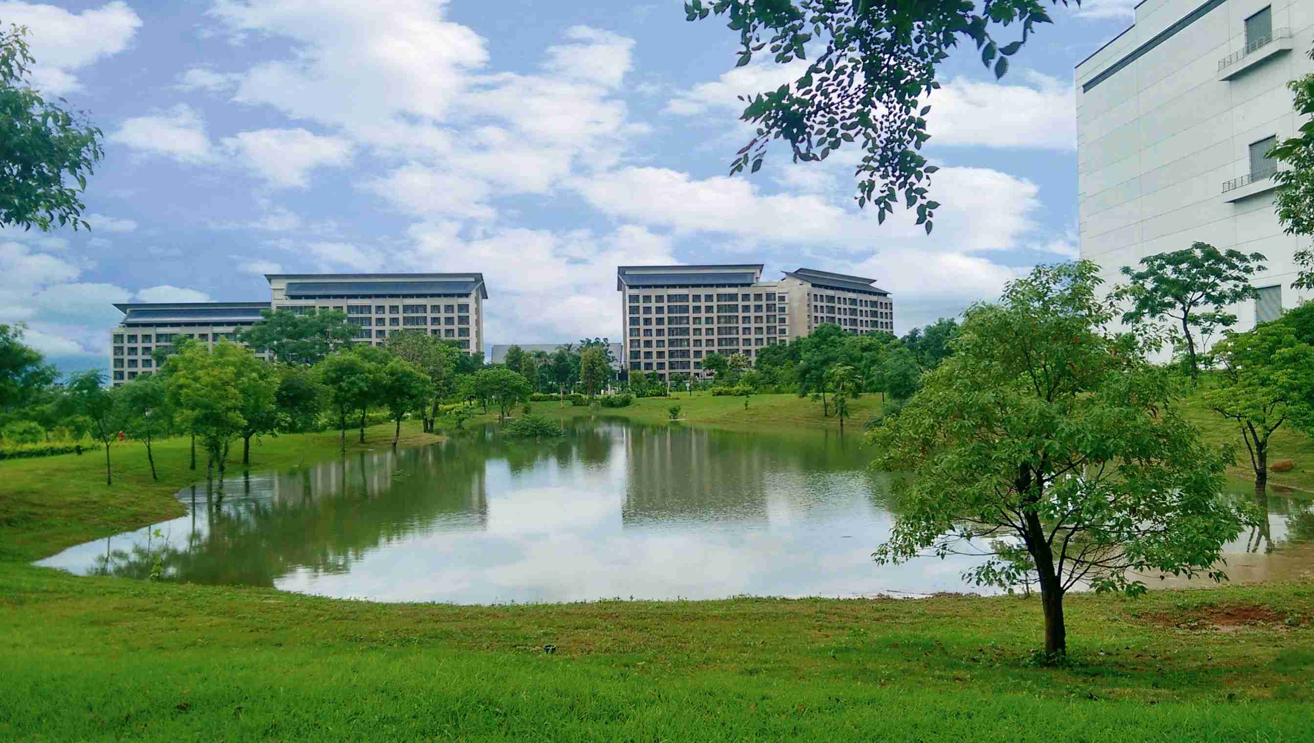 Wepay响应国际倡议生物多样性趋势，，首次发布TNFD自然相关财务揭露报告书，，，，擘划及开展Wepay生物多样性政策之承诺，，，逐步迈向与自然和谐共生